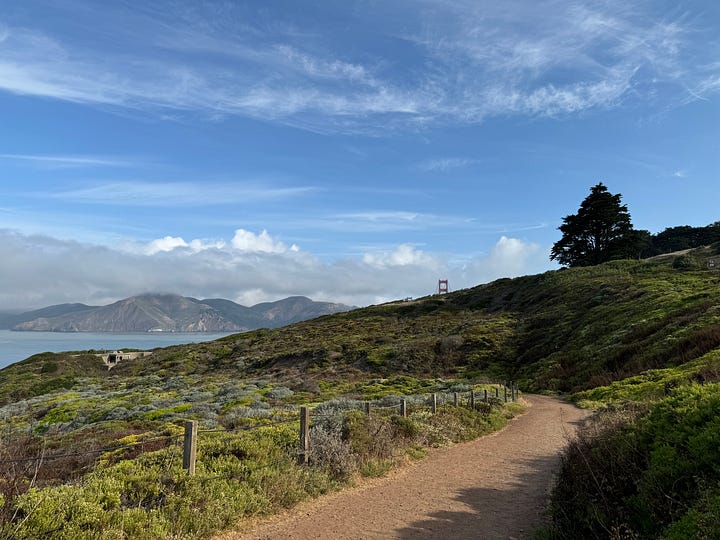 A beautiful scenic view of a path with the golden gate bridge peaking out, Rena and Sam in striped shirts smiling.
