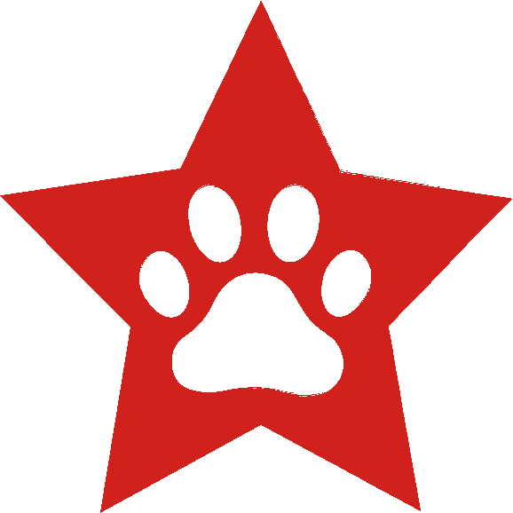 Artwork for BELiEVE MEOW