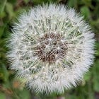 AI in Product Marketing