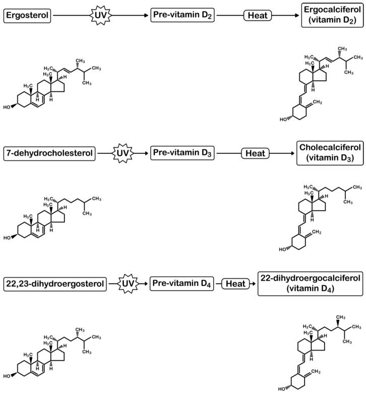 An external file that holds a picture, illustration, etc.
Object name is nutrients-10-01498-g001.jpg