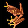 Copper Frog's avatar