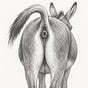 obdurate's avatar