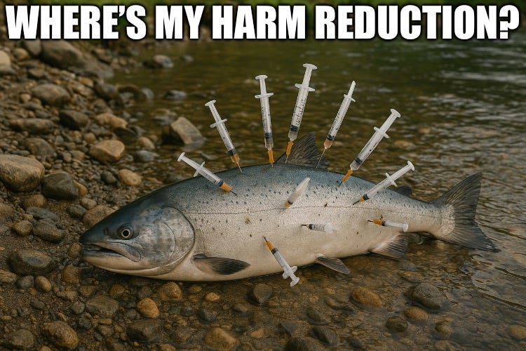 A fish with syringes in it

Description automatically generated