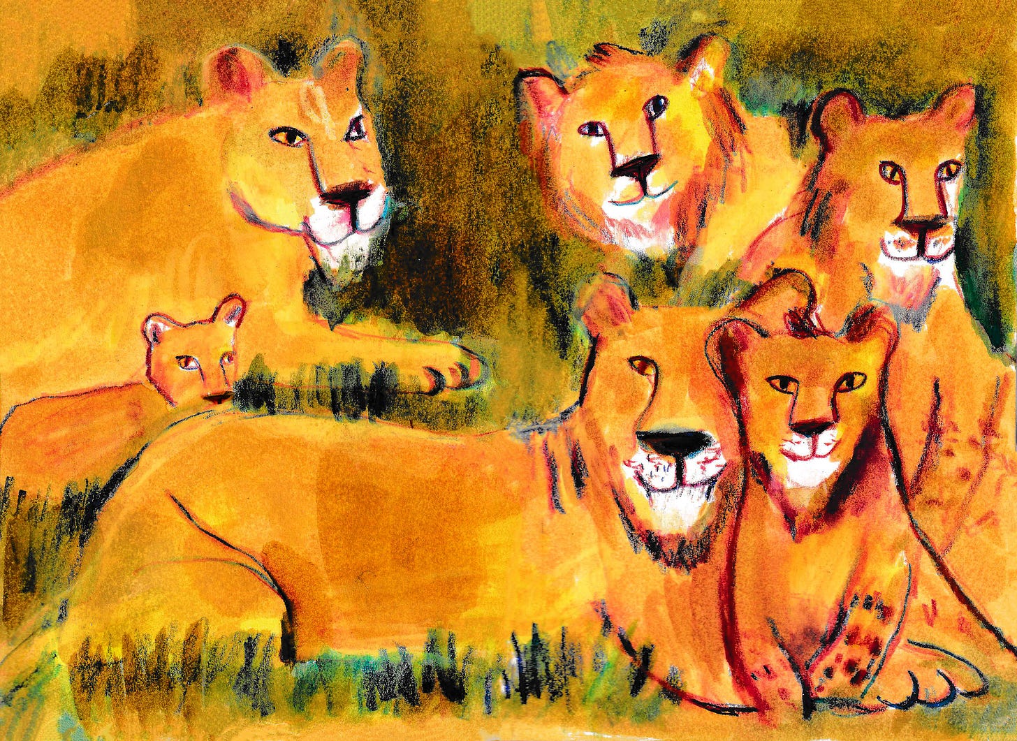 lion pride illustration by Beth Spencer
