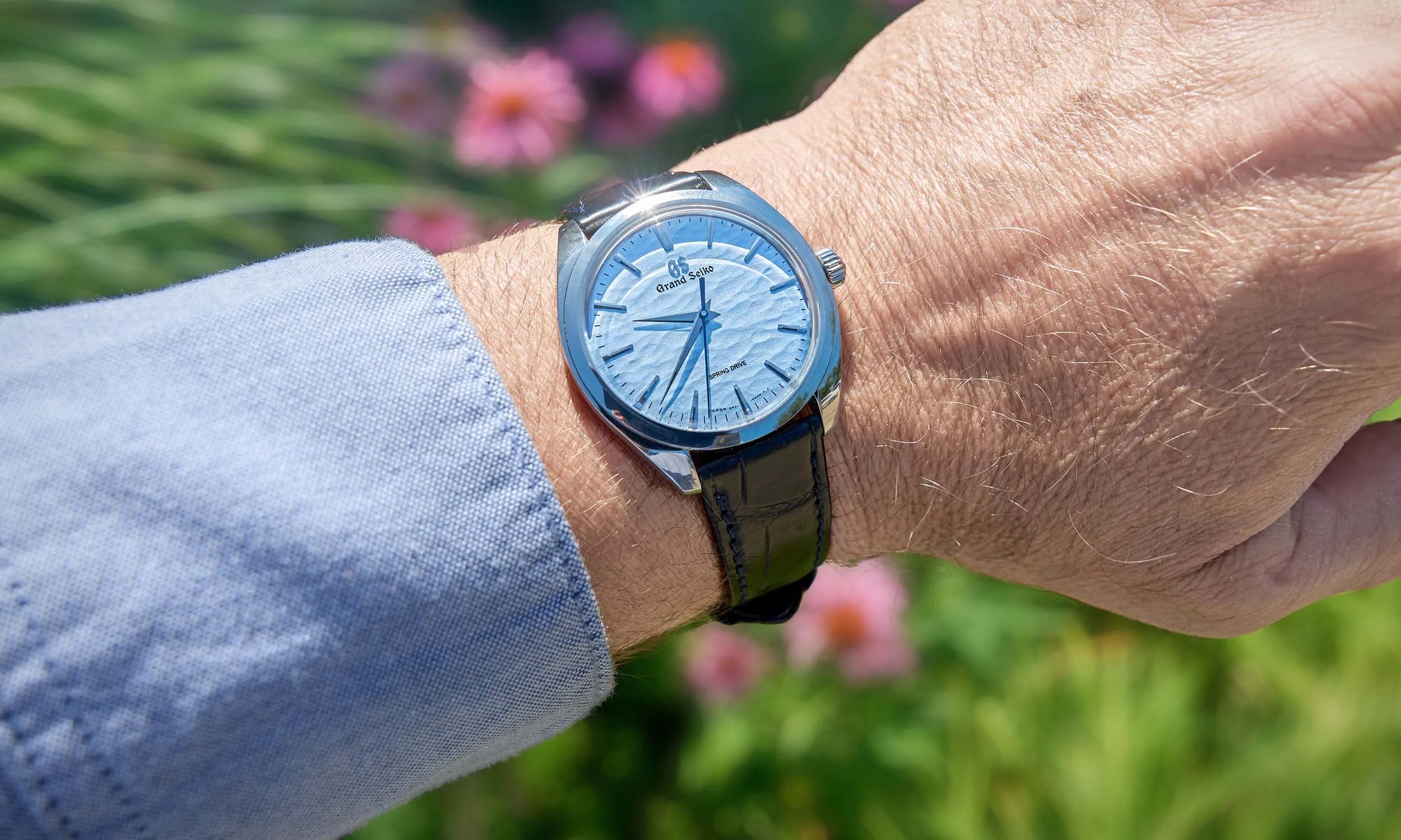 Progressive Movement Examples Issue #227 | Buying Time - August 17, 2026 - Buying Time