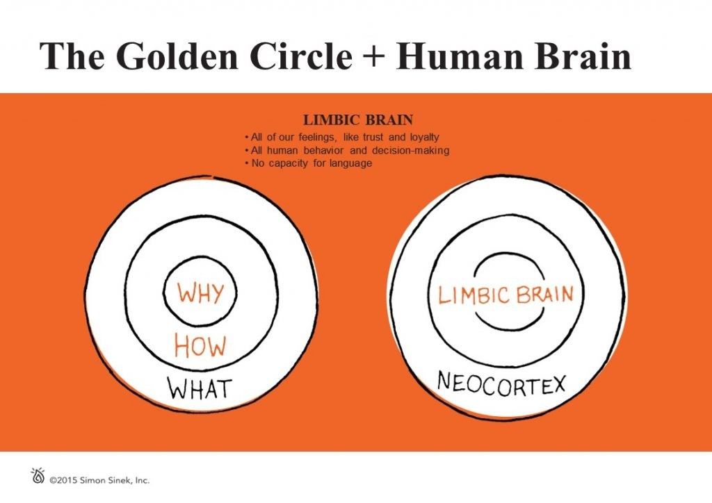 The Golden Circle + Human Brain - Start with Why