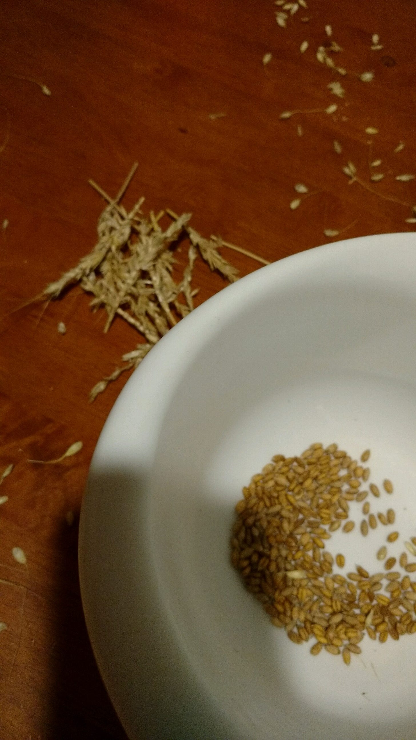 seperating wheat from chaff seperating wheat from chaff