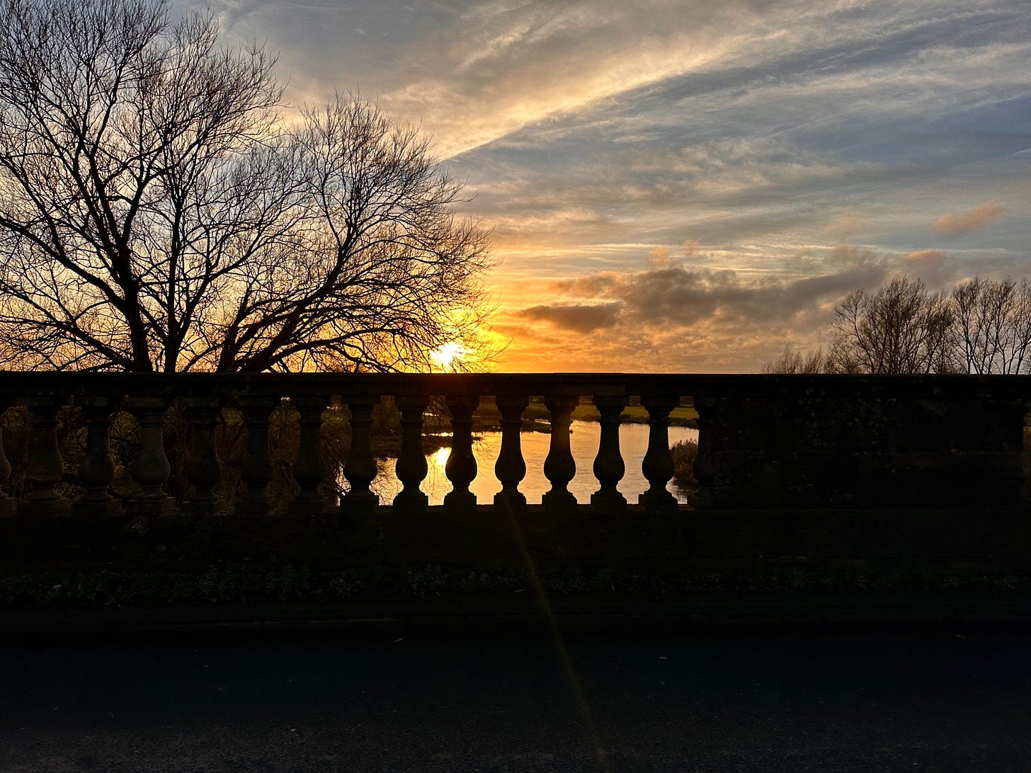 Stunning dusk light breaks through silhouetted, barren tree branches, over a similarly silhouetted bridge.