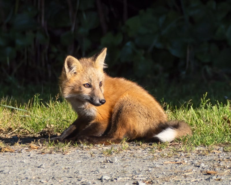 20250610-SJI3-947-Edit.jpg 20250610-SJI3-947-Edit.jpg