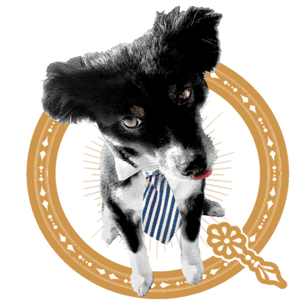 ON QUEUE with GoodDog