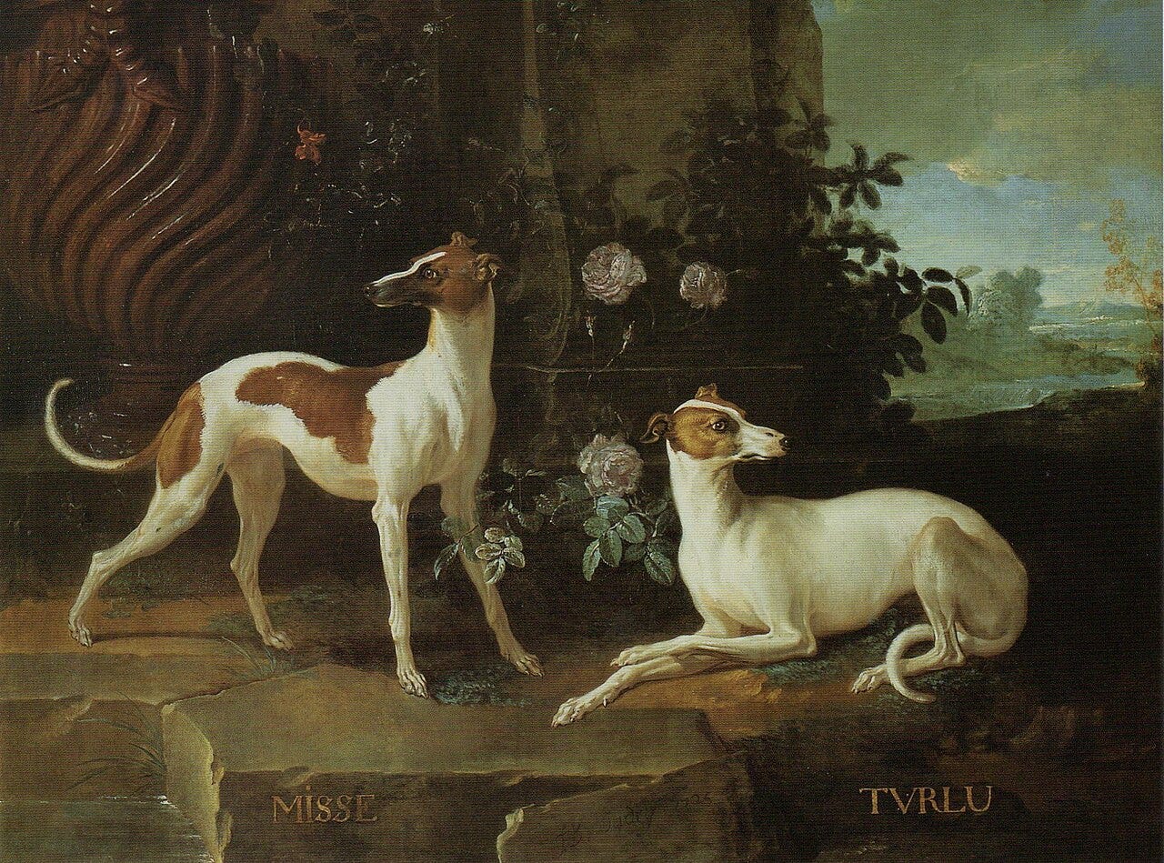 Jean Baptiste Oudry, Misse and Turlu, Greyhounds of Louis XV, 1725 Jean Baptiste Oudry, Misse and Turlu, Greyhounds of Louis XV, 1725