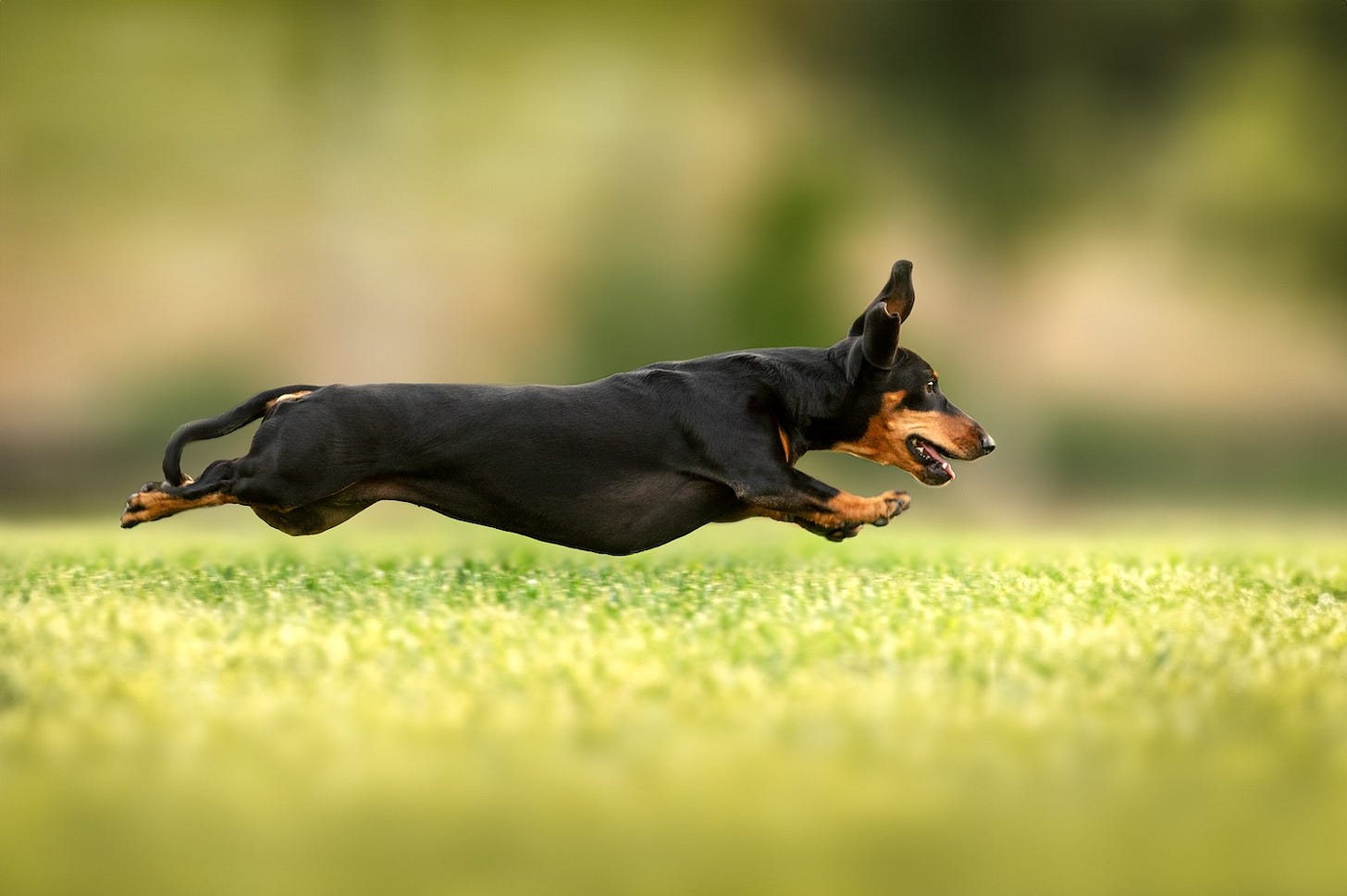 Image: Photobox.ks / shutterstock.com