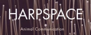 Nicole Harp @Harpspace.org