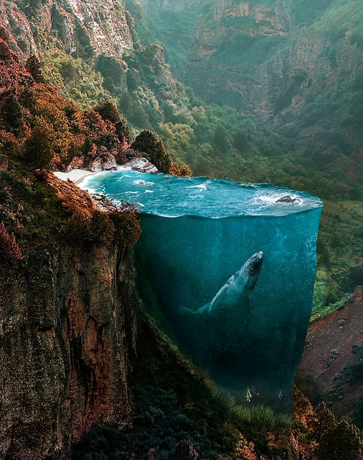 This may contain: an underwater view of a body of water with mountains in the background and grass growing on both sides