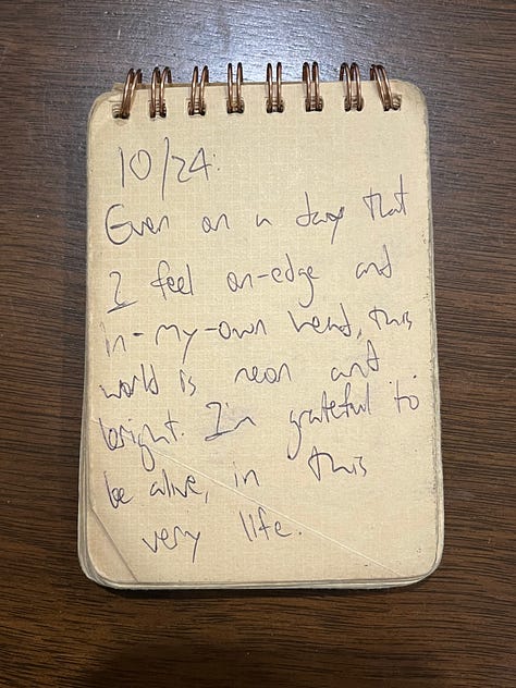 A collection of pages with scribbled notes from my tiny notebook
