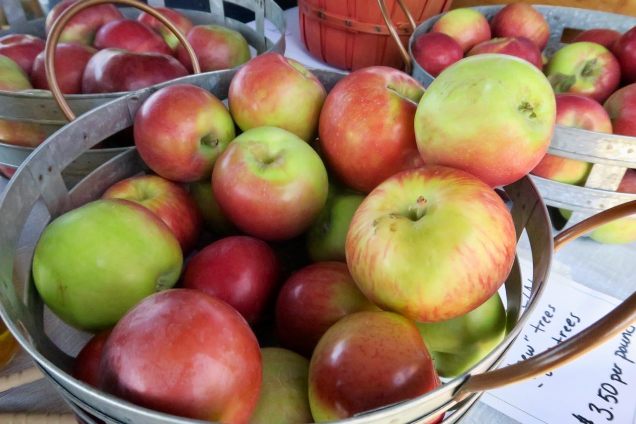 Apples in a basket

Description automatically generated with medium confidence