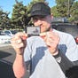 Mike Vallely's avatar