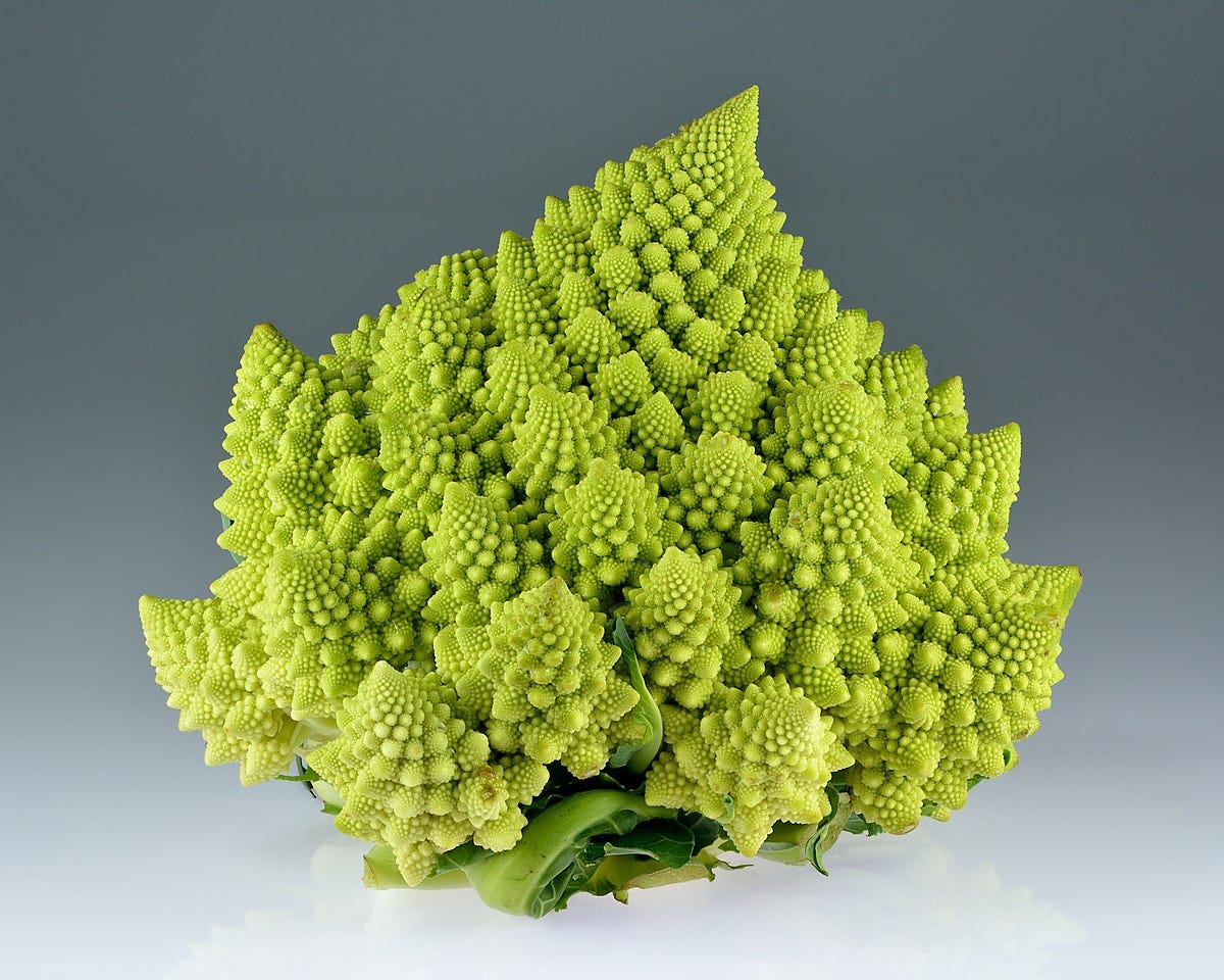 Romanesco broccoli - Wikipedia