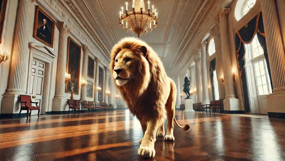 Trade Update 6/5/2025