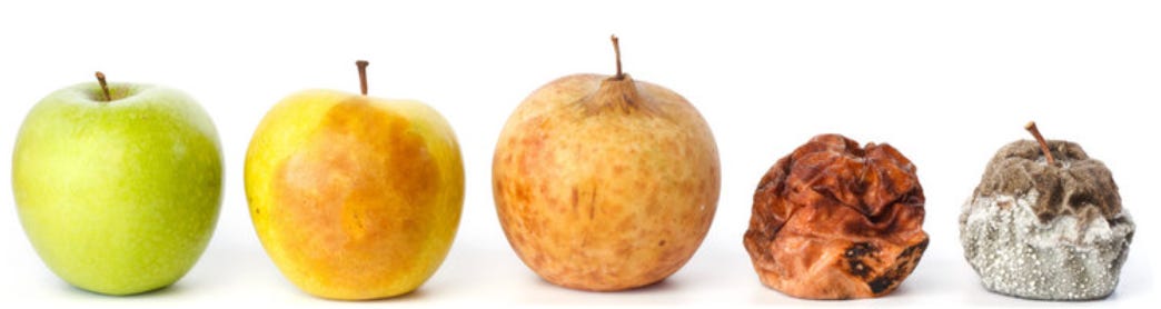 What is code rot? - by Stuart Todd - The Grumpy Dev