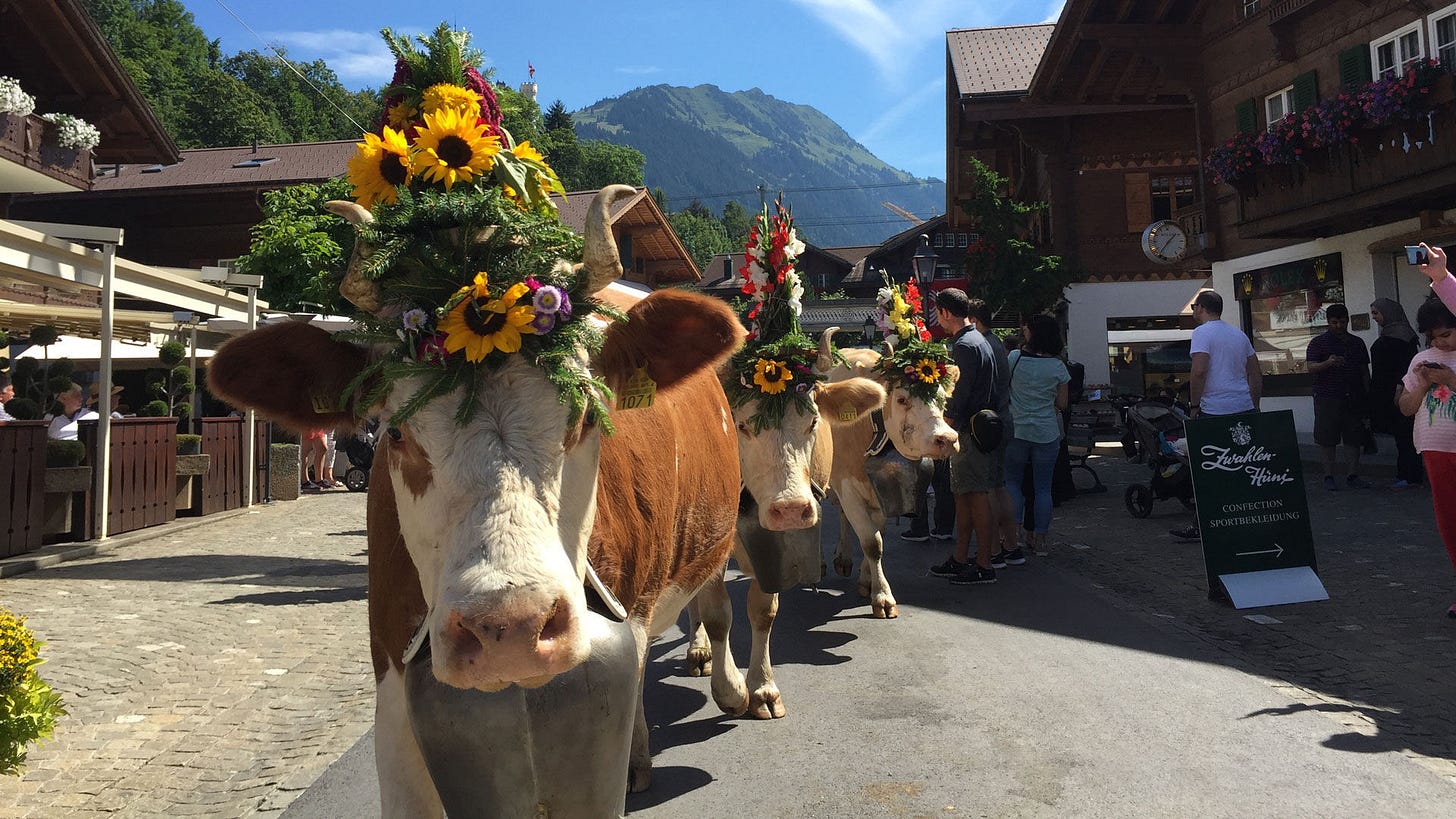 Gstaad Züglete – Made in Bern