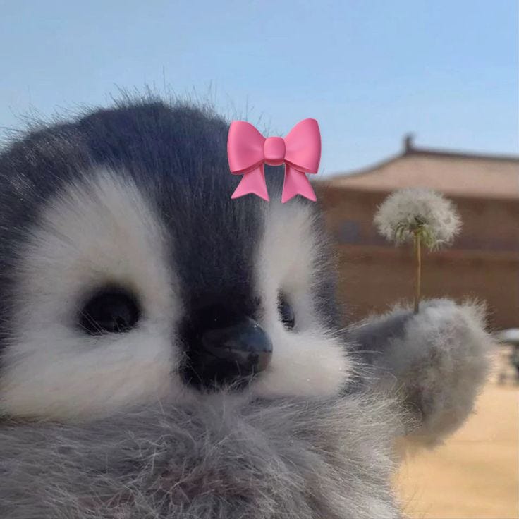 Artwork for Diario De Uma Menina Tagarela