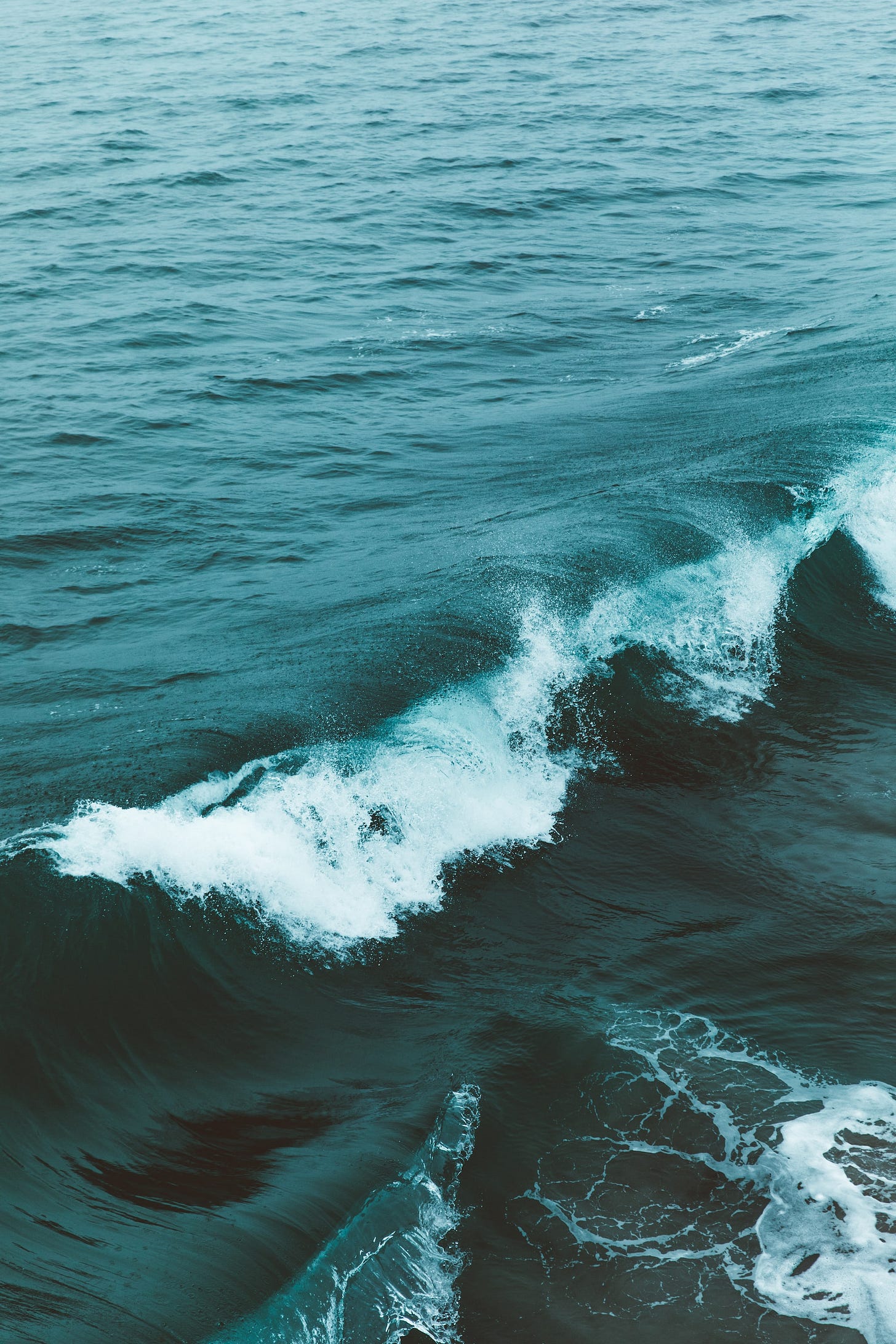 Taming Infinities — Why is it possible to do Physics at all?