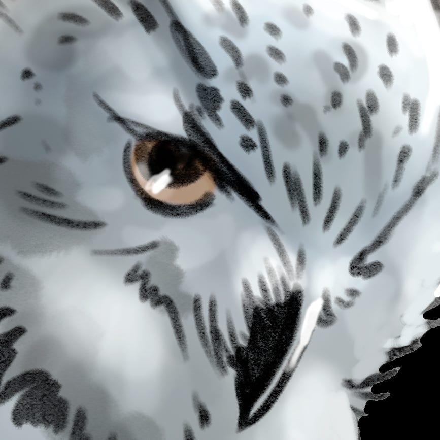 Towards wiser digitalization