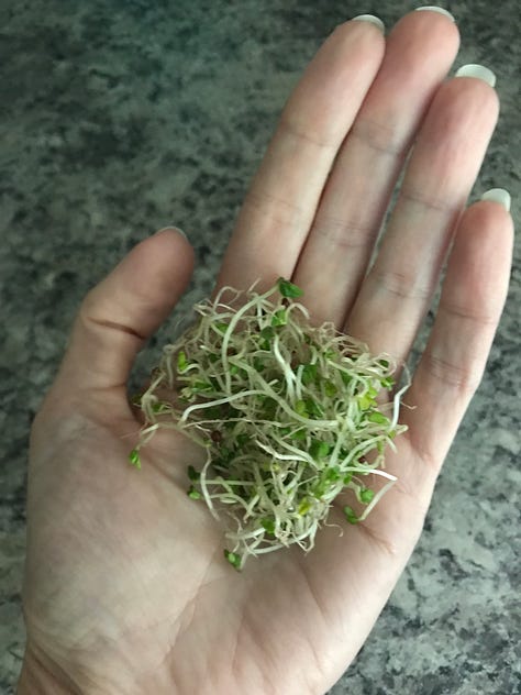 She's Got the Whole World in her Hand!