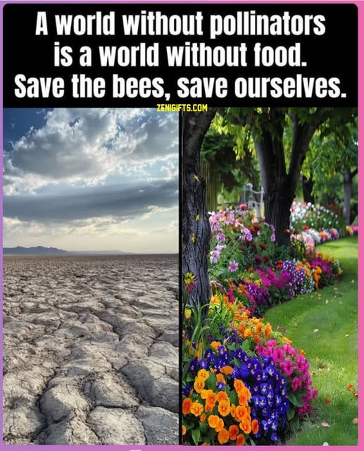 May be an image of text that says 'A world without pollinators is a world without food. Save the bees, save ourselves. ZENIGIFTS.COM'