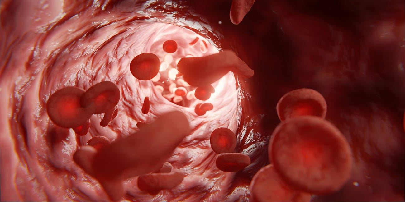 Blood Flow and Hydration