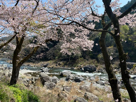 Various images of Matt Ketchum and friends in the forests and rivers of Mitake, Tokyo, Japan.