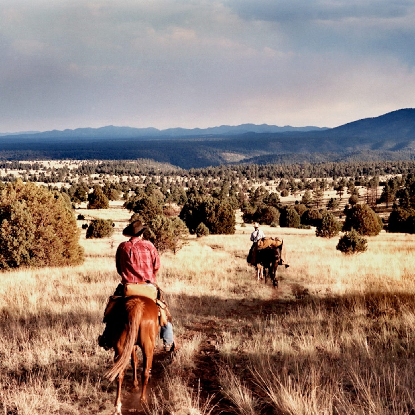 Horsepack the Gila Wilderness, New Mexico, Best American Adventures -- National Geographic Horsepack the Gila Wilderness, New Mexico, Best American Adventures -- National Geographic