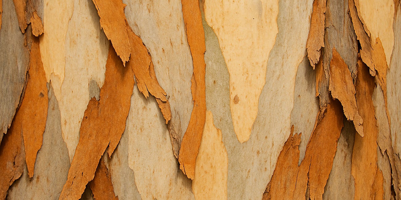 Time value of carbon