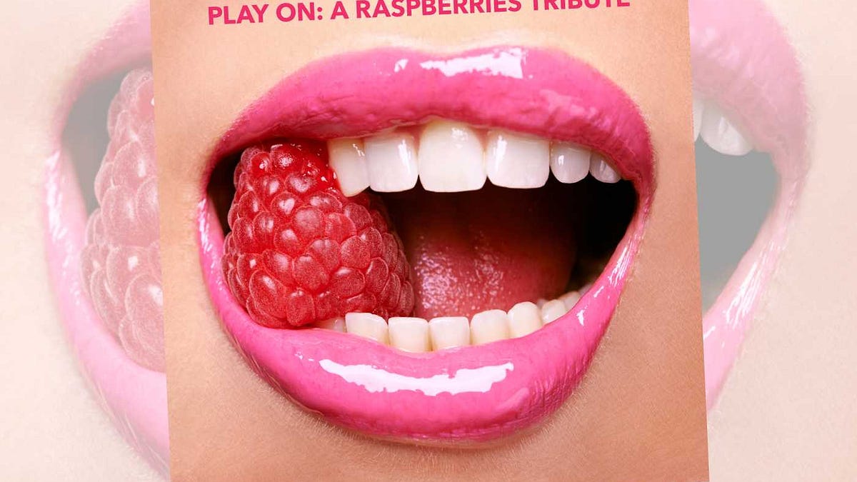 洋楽 AOR CD Raspberries Power Pop Vl 1 & 2 CD AOR CD Raspberries Power Pop Vl 1 & 2
