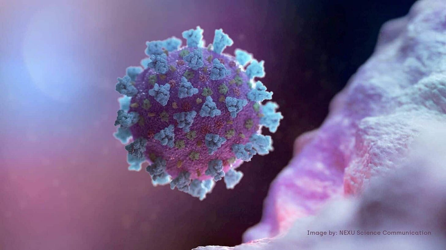 Disease X, other pathogens that can cause future pandemics to be identified  by WHO | Mint