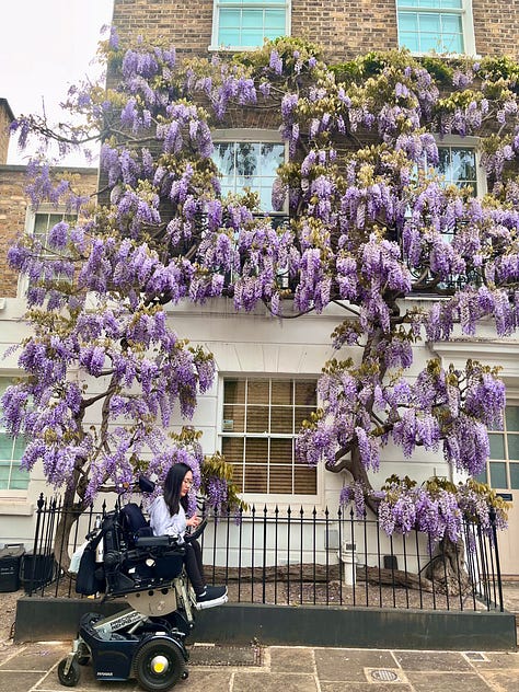 Wisteria in full bloom on buildings in London. Alicia, in her power wheelchair, drives in front of one image with wisteria behind her.