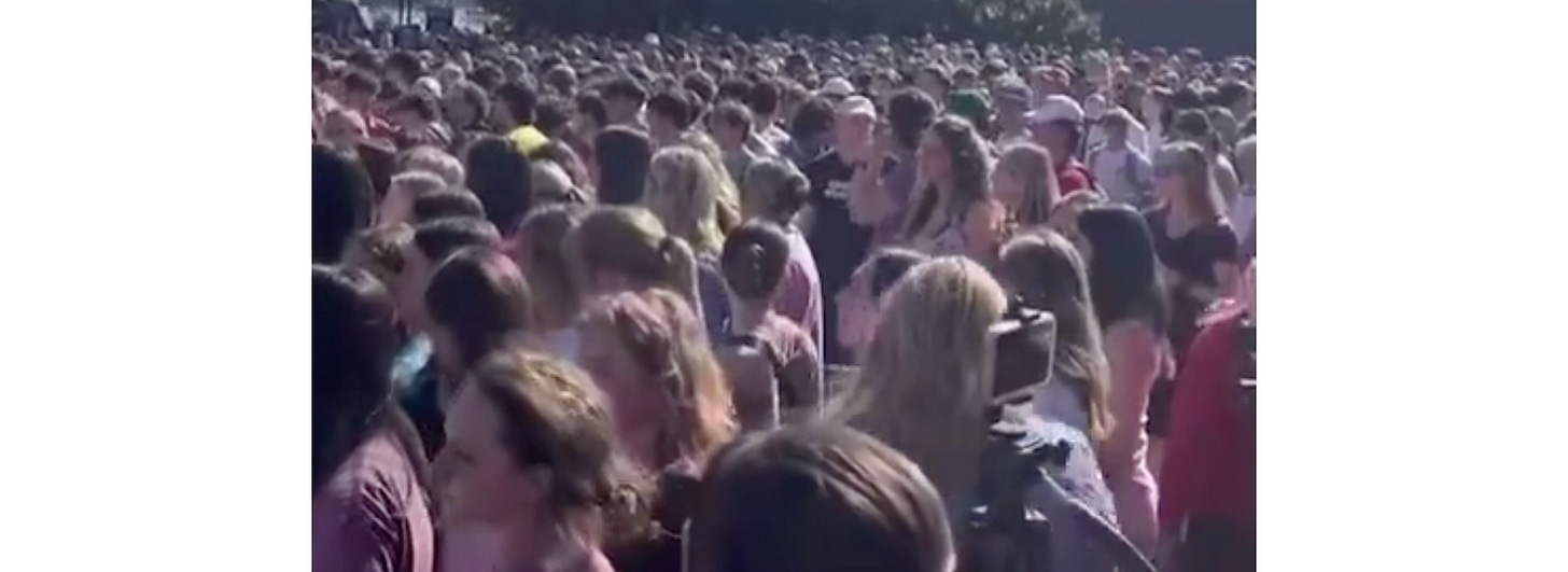 image 2.png image 2.png