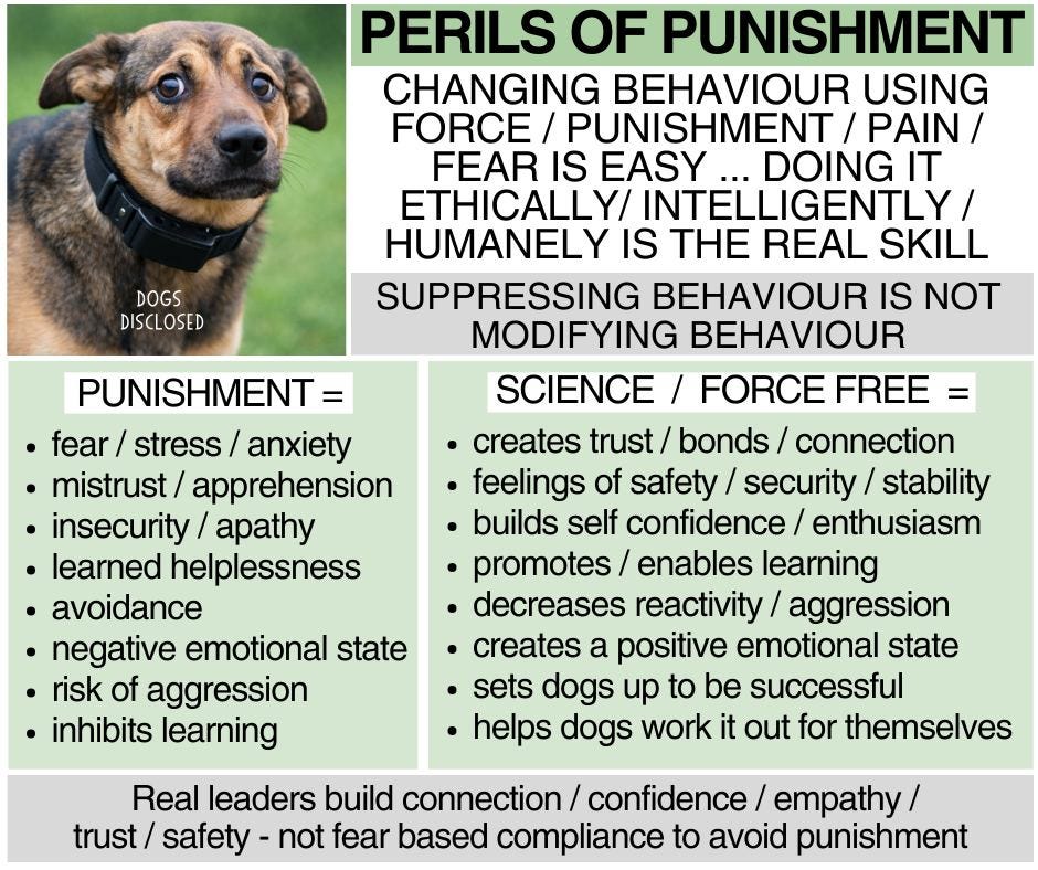 May be an image of dog and text
