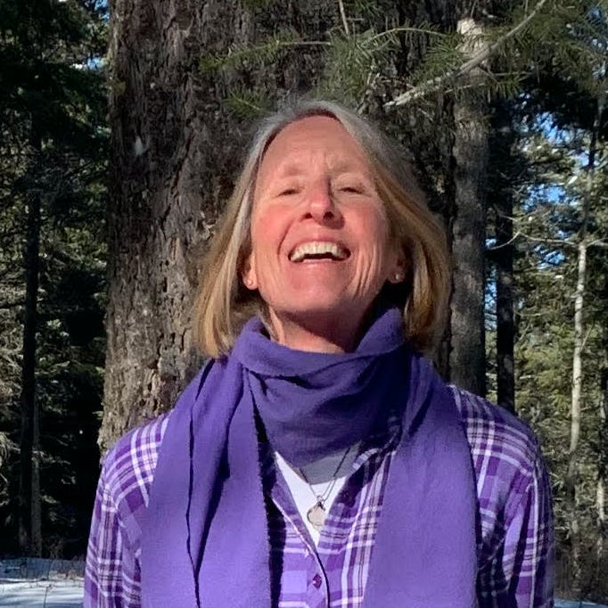 Bridges to Presence with Elisabeth Donati logo