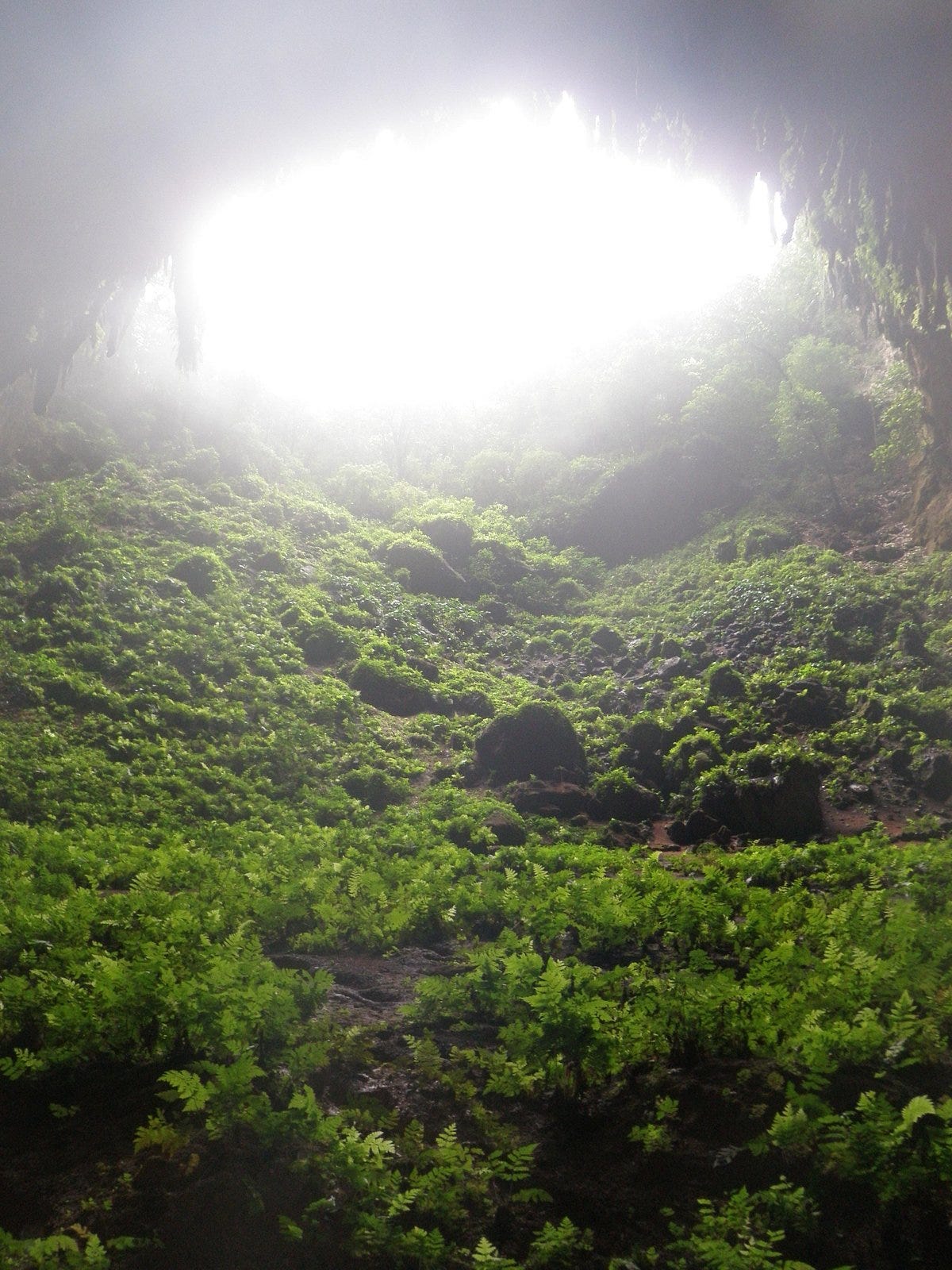 Calbiga Caves: All You Need to Know BEFORE You Go (with Photos)