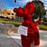 Kayla McGuire's avatar