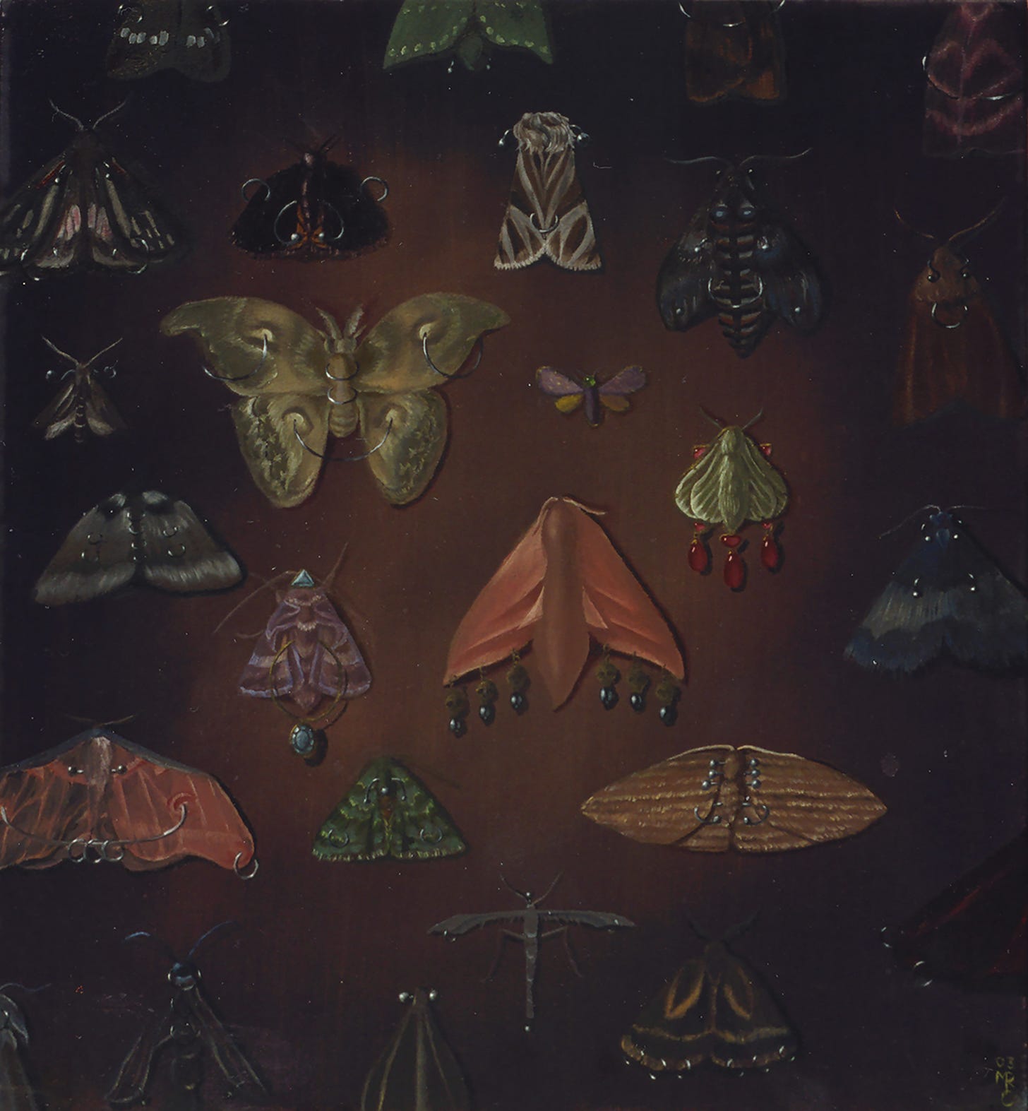 Oil painting of dark wall with patch of dim light roughly in the middle, covered in moths of different sizes and colours. In the top middle left is a pale green moth with a hairy body and silver piercings through the eye shapes on the upper and lower wings. To the right and lower than this is a pink moth with a large smooth body and three silver piercings with silver drops dangling from them hanging from each wing. To the right and lower than this is a striped moth with piercings across the body. Altogether there are 26 moths on the painting with various piercings and jewelry. In some cases the moths are not entirely visible as they cover the whole painting and sometimes extend beyond the edges.