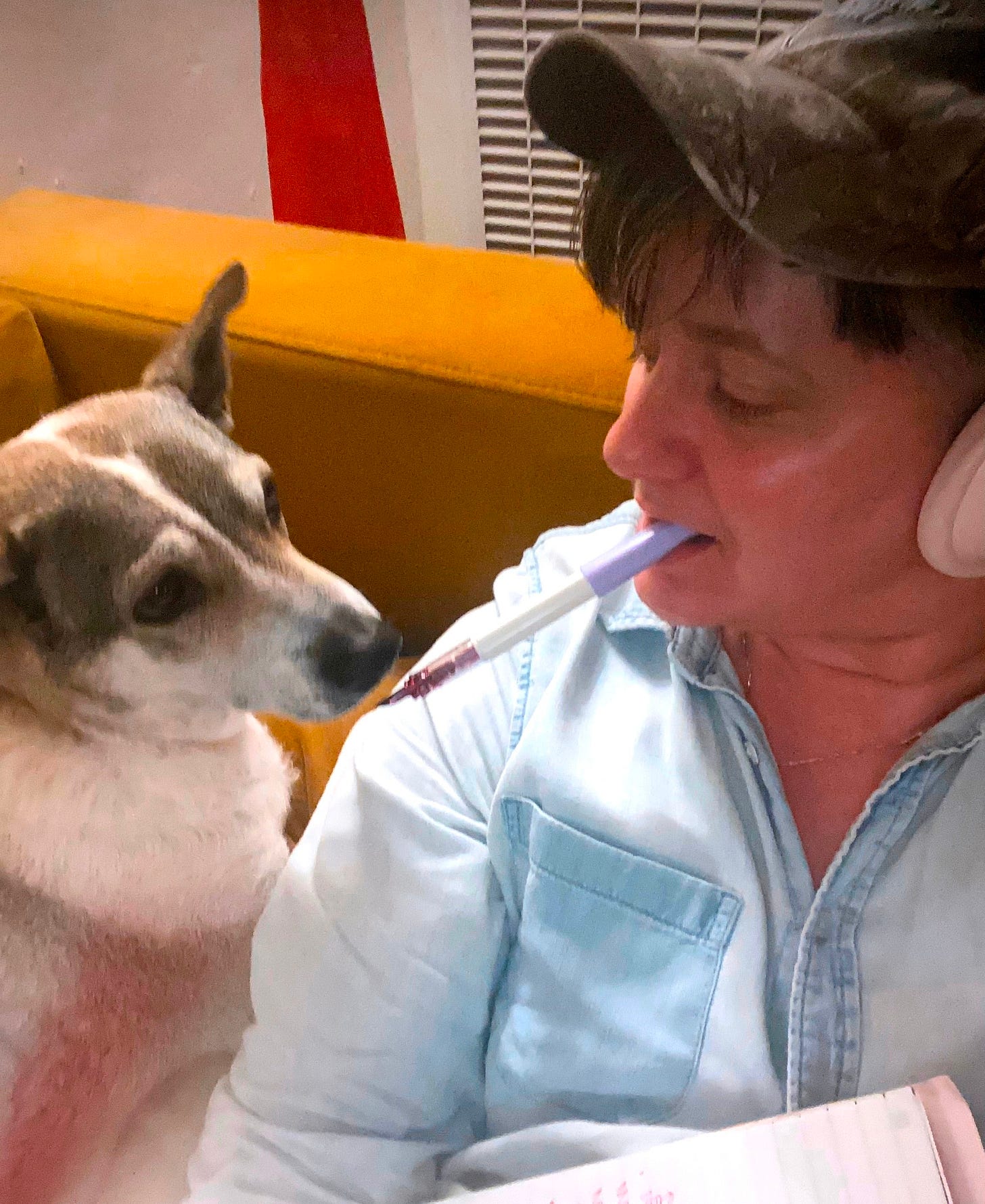 queer and their pup on a couch queer and their pup on a couch