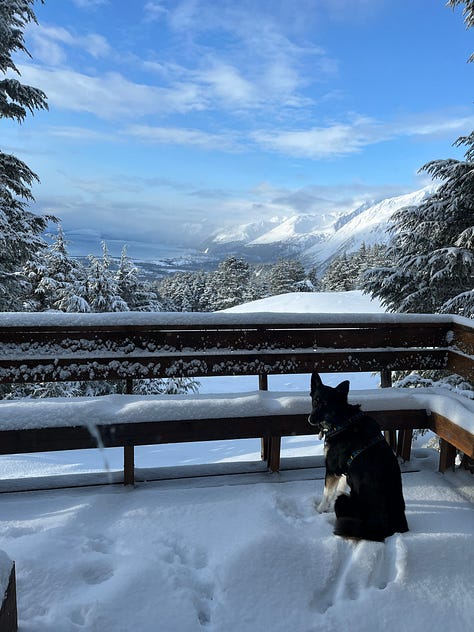 Photos from my recent cabin trip near Seward, Alaska.