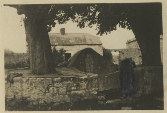 St. Colmcille's Well, Calliaghstown, Co. Meath, 1930s? Photo 1 St. Colmcille's Well, Calliaghstown, Co. Meath, 1930s? Photo 1