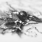 Advent: Advice For When You Teeter On Giving Up