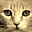 Jacqueline Kazel's avatar