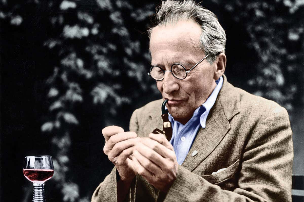 After the cat: Celebrating Schrödinger's 75-year influence on biology | New  Scientist