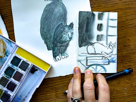 Cat illustrations by Beth Spencer